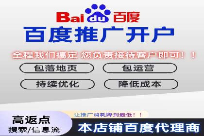 某电商平台的SEM关键词策略及成效分析
